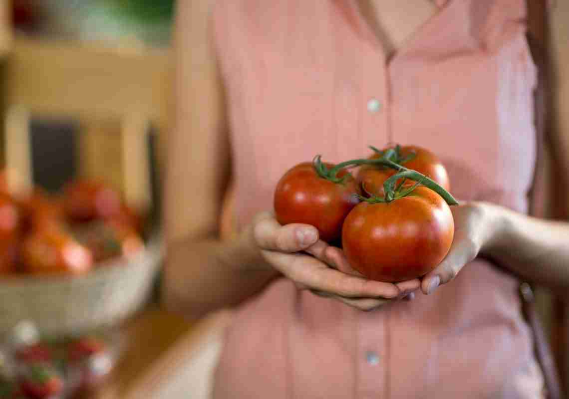Ceará segue como vice-líder na produção de tomate no Nordeste em 2024